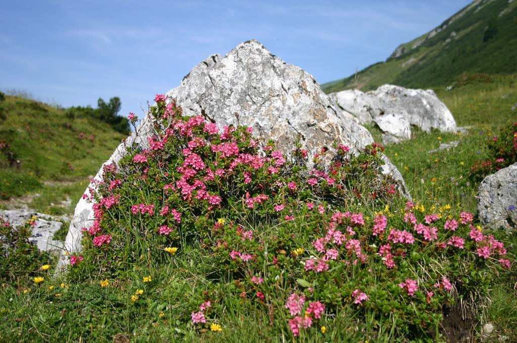 Gasthof "Zur Gemuetlichkeit" Bschlabs Buitenkant foto