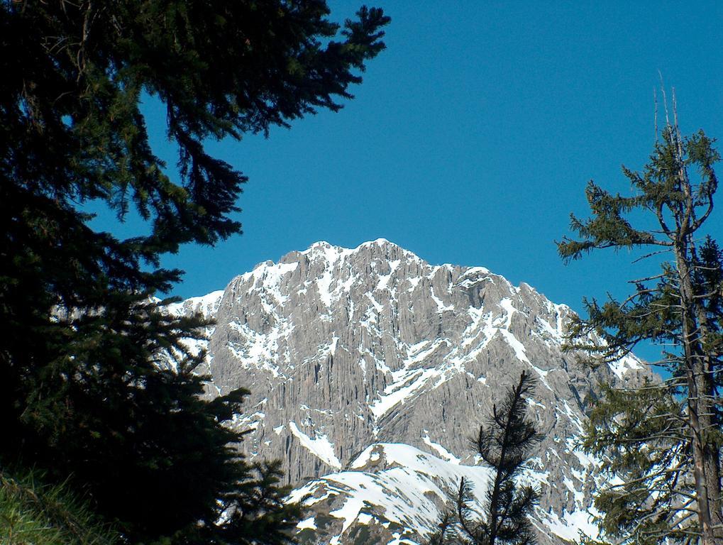 Gasthof "Zur Gemuetlichkeit" Bschlabs Buitenkant foto